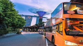 FunVee Open Top Bus 1 Day Hopper Pass