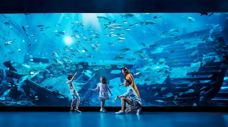 S.E.A. Aquarium Ticket Sentosa
