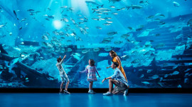 S.E.A. Aquarium Ticket Sentosa S.E.A. Aquarium Ticket Sentosa