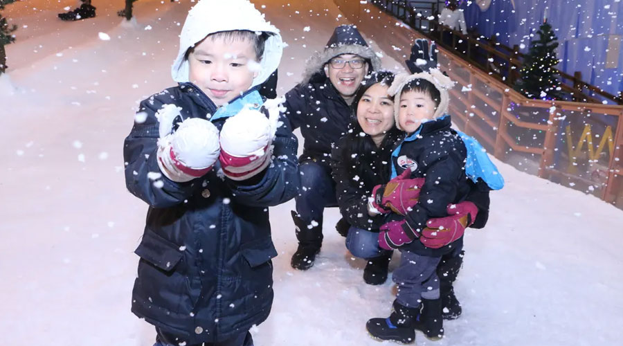 Snow City Singapore Ticket