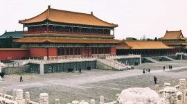 Beijing Palace Museum Ticket (The Forbidden City)