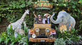 Bali Safari and Marine Park Ticket