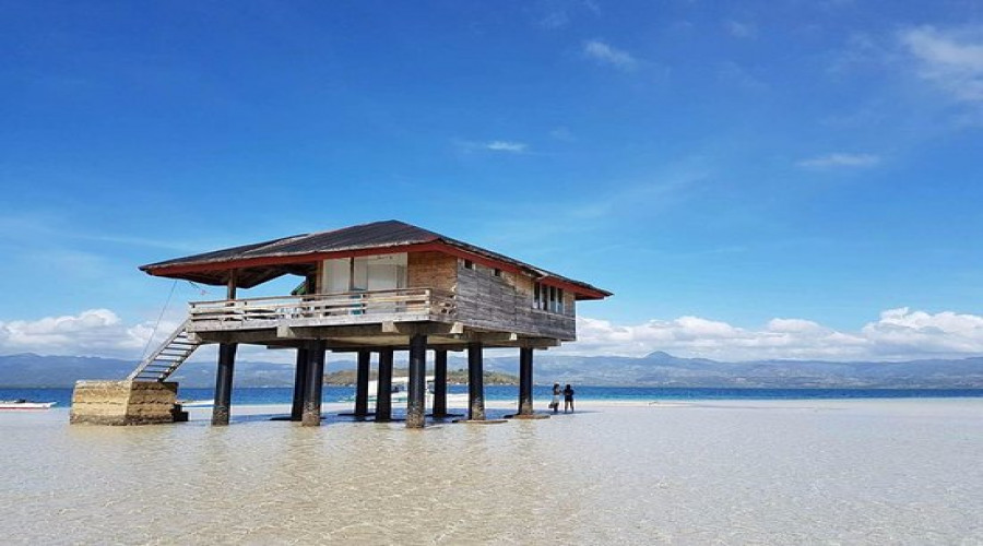 Dolphin Watching and Manjuyod Sandbar Tour