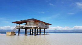 Dolphin Watching and Manjuyod Sandbar Tour