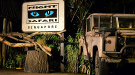 Night Safari Singapore Ticket