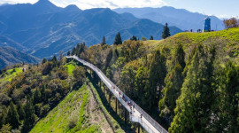 Cingjing Farm and Puli Day Tour