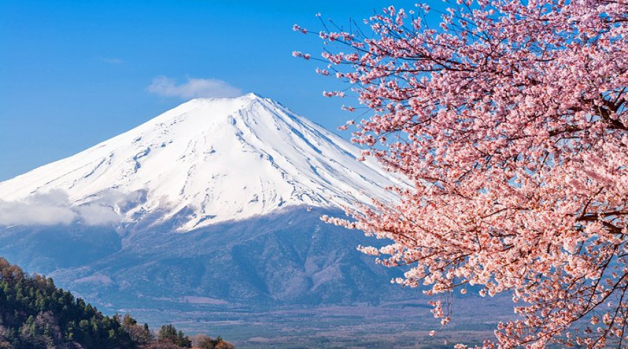 Mt Fuji Day Tour from Tokyo