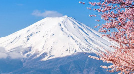 Mt Fuji Day Tour from Tokyo