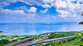 Southern Okinawa Half/One Day Trip