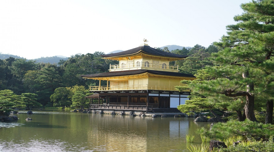 Kyoto and Nara Day Tour from Osaka/Kyoto