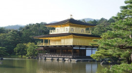 Kyoto and Nara Day Tour from Osaka/Kyoto