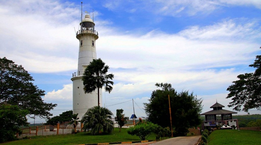 Kuala Selangor & Fireflies Day Tour
