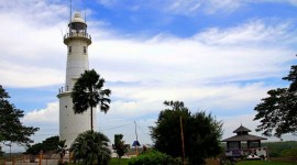 Kuala Selangor & Fireflies Day Tour