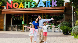 Noah's Ark Hong Kong Ticket