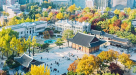 History of Joseon Dynasty with National Folk Museum, Palaces, and Temple Half Day Tour