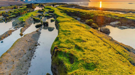 Eastern Jeju Discovery