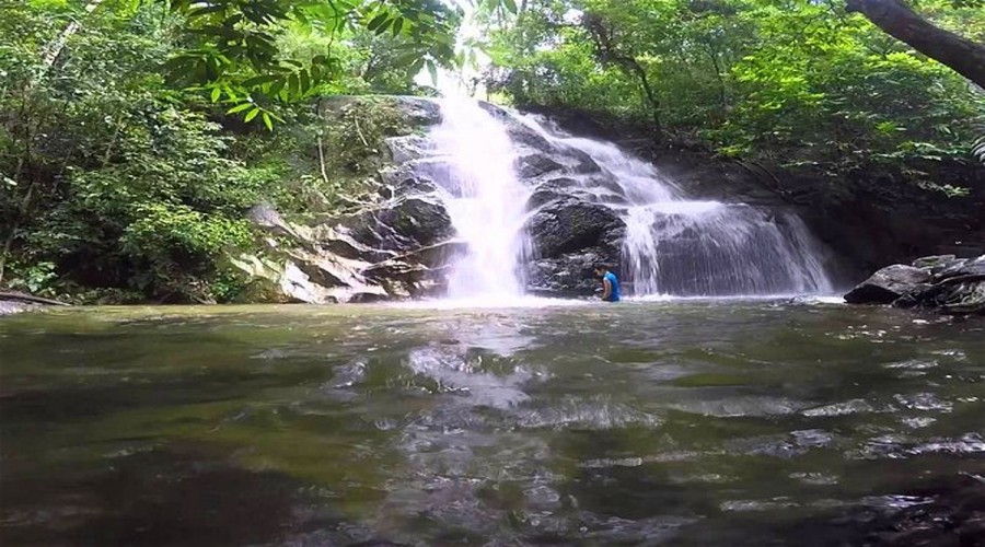 Templer's Park Day Tour