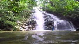 Templer's Park Day Tour