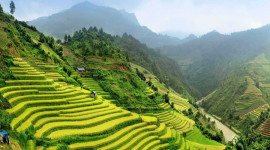 Hanoi - Sapa - Halong