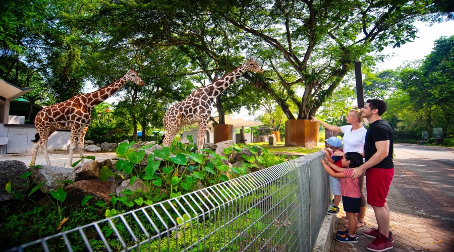 National Zoo Day Tour (Zoo Negara)