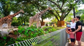 National Zoo Day Tour (Zoo Negara)