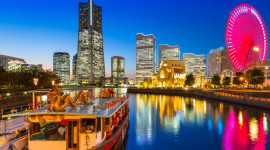 Private Day Tour: Yokohama + Kamakura + Tokyo