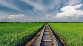 Sekinchan Paddy Fields and Fishing Village Day Tour