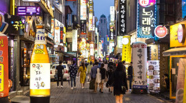 Asia: Osaka, Kochi, Jeju & Nagoya