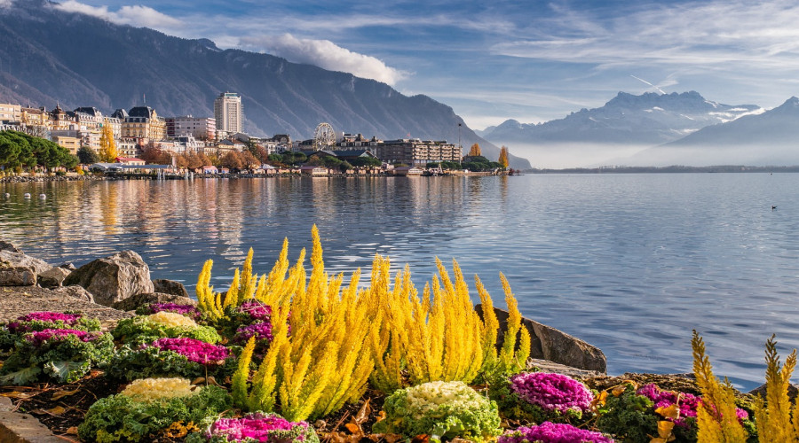 Paris & Switzerland special 5 days tour