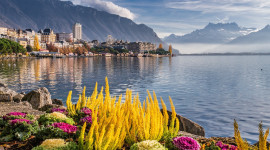 Paris & Switzerland special 5 days tour