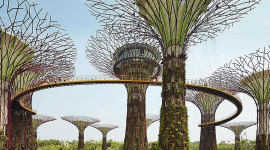 2 To Go:  Singapore-Penang-Phuket-Singapore
