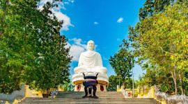 13 Nights Tokyo - Singapore (1 Way Cruise)