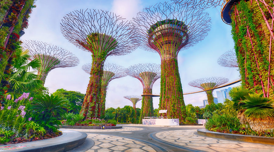 4 Nights: Singapore – High Sea – Koh Samui - Redang – Singapore