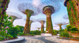 4 Nights: Singapore – High Sea – Koh Samui - Redang – Singapore