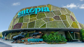 Entopia by Penang Butterfly Farm