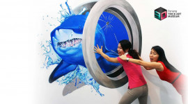 Penang 3D Trick Art Museum Ticket