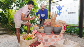 Penang Tropical Spice Garden Ticket