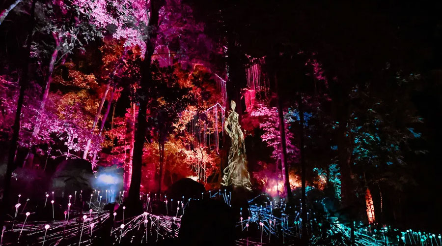 Dream Forest Langkawi Ticket