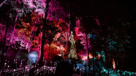 Dream Forest Langkawi Ticket