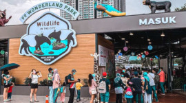 99 Wonderland Park: WILDLIFE in the City