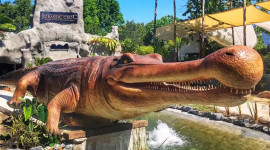 Crocodile Adventureland Langkawi Admission Ticket