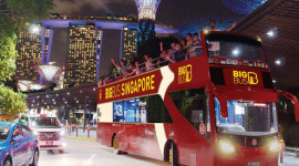 Singapore Big Bus Hop-On Hop-Off Tour (Open-Top)
