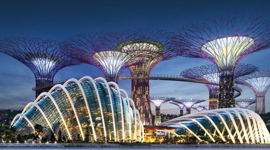 Singapore Half-Day City Tour with Gardens by the Bay Admission