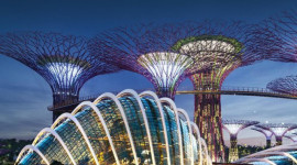 Singapore Half-Day City Tour with Gardens by the Bay Admission